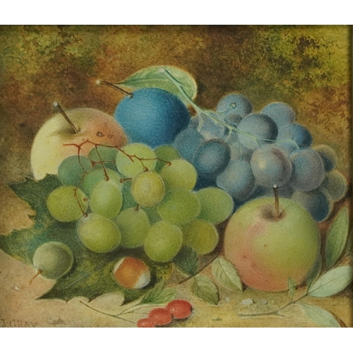 1441 - J Gray - Still life fruit, Victorian watercolour on card, inscribed verso, mounted and framed, 19.5c... 