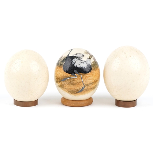 1437 - Three taxidermy and Australian interest ostrich eggs, including one hand painted with an ostrich, ea... 