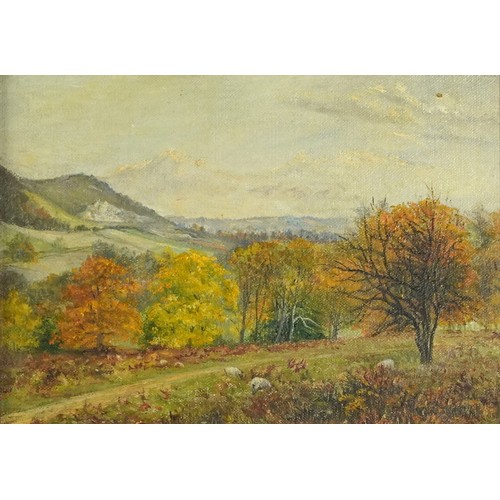 1082 - Rural landscape with sheep, oil on canvas board, inscribed verso, mounted and framed, 23cm x 16cm ex... 