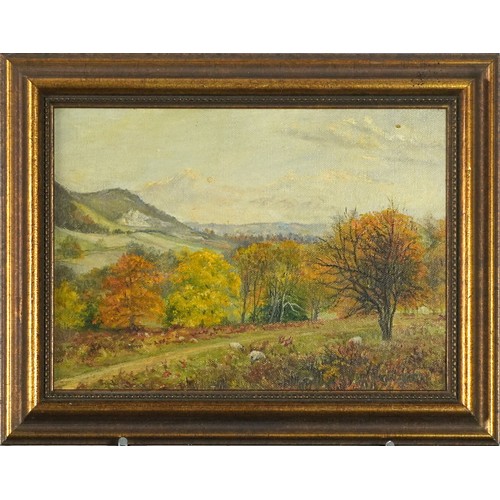 1082 - Rural landscape with sheep, oil on canvas board, inscribed verso, mounted and framed, 23cm x 16cm ex... 