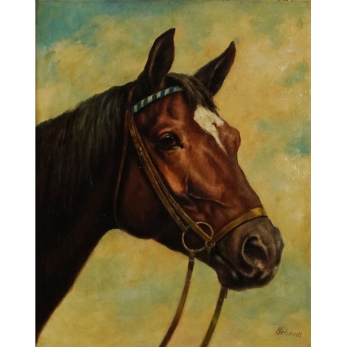 119 - Erhardt - Horse Head, oil on canvas, inscriptions verso, mounted and framed, 50cm x 39.5cm excluding... 