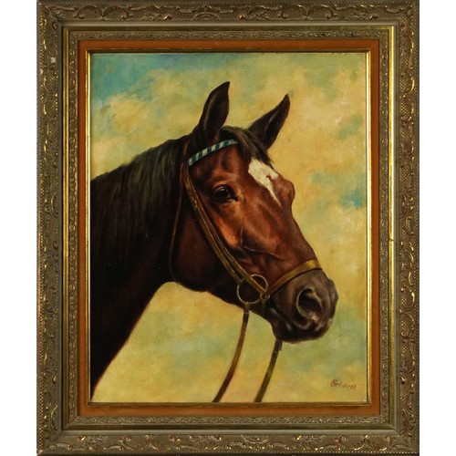 119 - Erhardt - Horse Head, oil on canvas, inscriptions verso, mounted and framed, 50cm x 39.5cm excluding... 