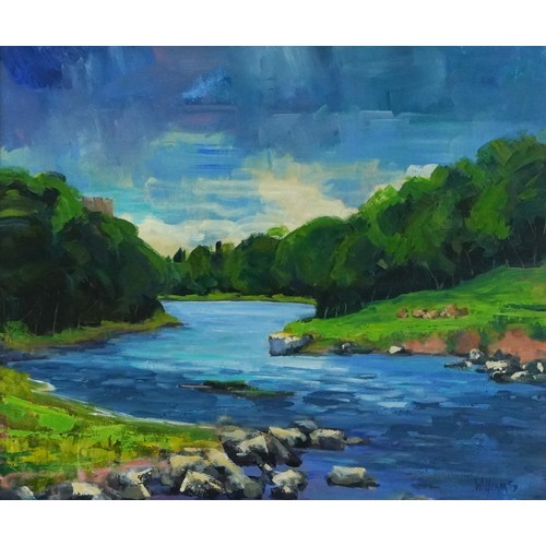 430 - Williams - River through woodland, contemporary oil on canvas, mounted, framed and glazed, 58.5cm x ... 