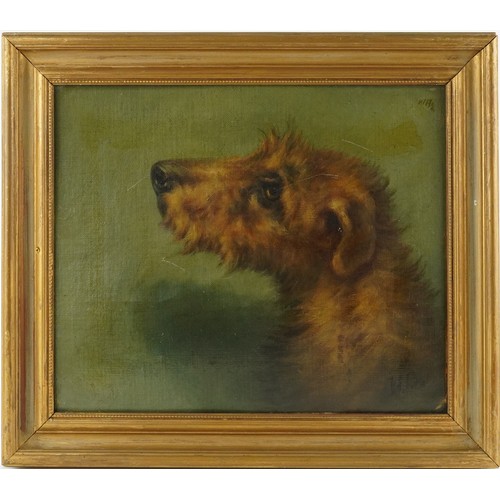 403 - Portrait of a dog's head, 19th century oil on canvas board, framed, 29cm x 24cm excluding the frame