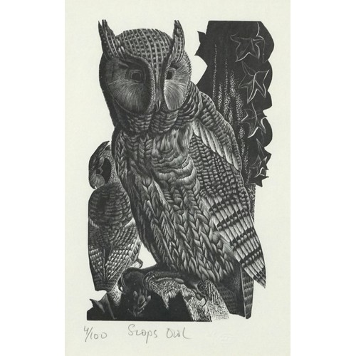 1445 - James T Osborne - Horse and Birds and Scops Owl, two limited edition black and white prints, inscrib... 