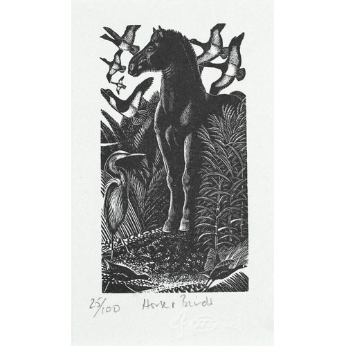 1445 - James T Osborne - Horse and Birds and Scops Owl, two limited edition black and white prints, inscrib... 