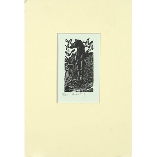 1445 - James T Osborne - Horse and Birds and Scops Owl, two limited edition black and white prints, inscrib... 