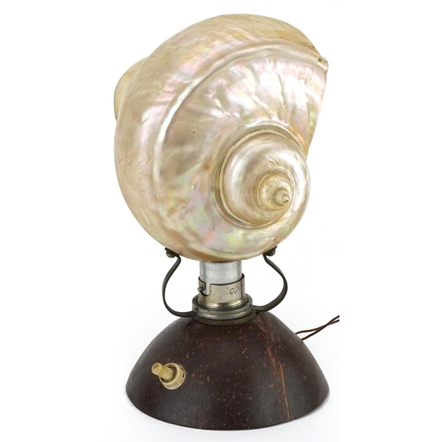 524 - Early 20th century Adaman Islands conch shell and coconut table lamp, 19cm high