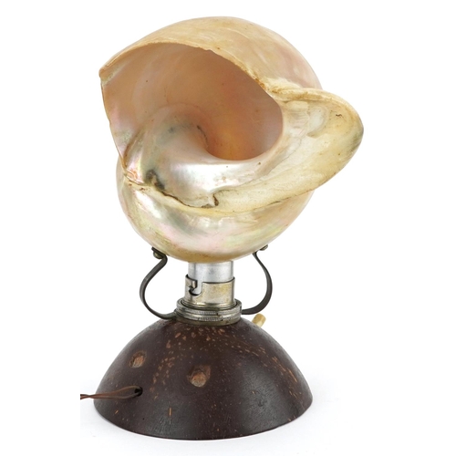 524 - Early 20th century Adaman Islands conch shell and coconut table lamp, 19cm high