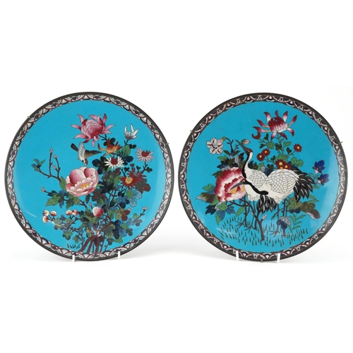 224 - Matched pair of Japanese cloisonne plates enamelled with cranes and a bird amongst flowers, each 30.... 