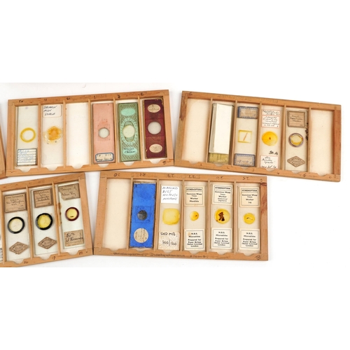 567 - Collection of 19th century and later microscope prepared glass slides housed in a pine case with fiv... 