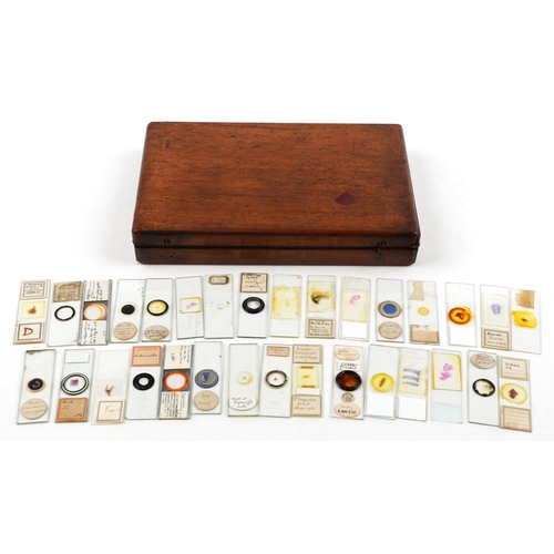 566 - Collection of early 20th century scientific interest microscope prepared glass slides including W Wa... 