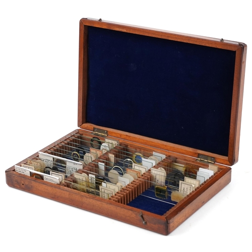 566 - Collection of early 20th century scientific interest microscope prepared glass slides including W Wa... 