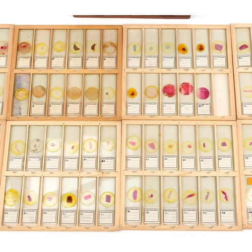 565 - Collection of over one hundred scientific interest physiology microscopen prepared glass slides arra... 