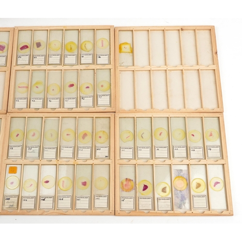 565 - Collection of over one hundred scientific interest physiology microscopen prepared glass slides arra... 