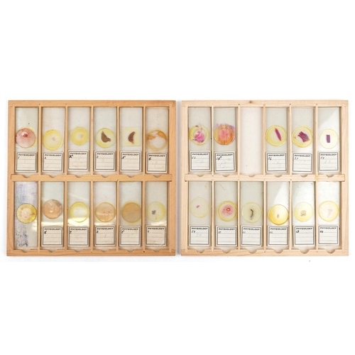 565 - Collection of over one hundred scientific interest physiology microscopen prepared glass slides arra... 