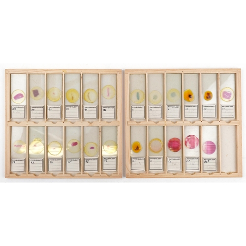 565 - Collection of over one hundred scientific interest physiology microscopen prepared glass slides arra... 