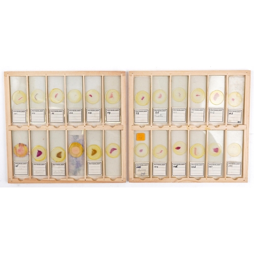 565 - Collection of over one hundred scientific interest physiology microscopen prepared glass slides arra... 