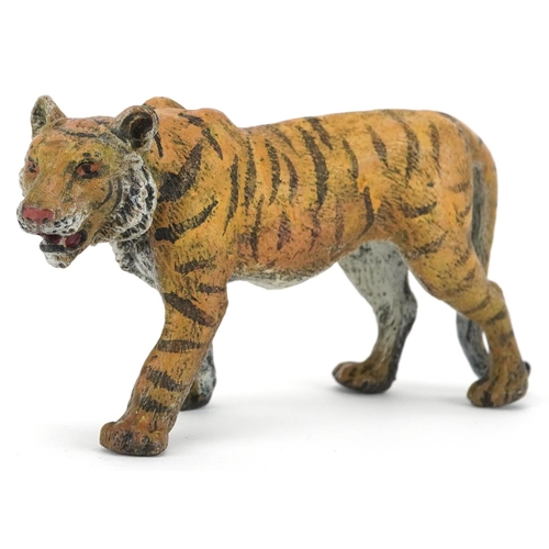 142 - Austrian style cold painted bronze tiger, 10.5cm in length