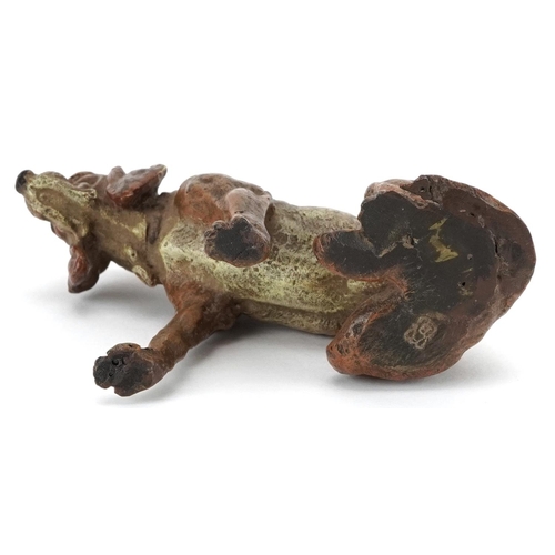 250 - Austrian style cold painted bronze dog, 7.5cm in high