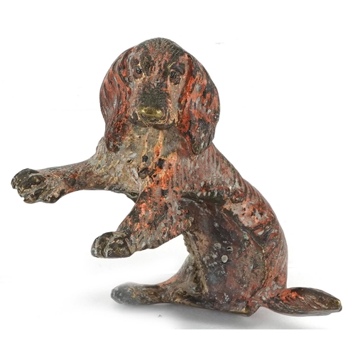 251 - Austrian style cold painted bronze begging dog, 8cm in length