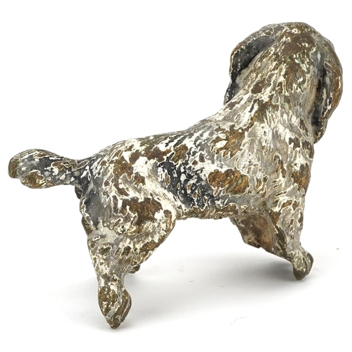 534 - Austrian style cold painted bronze dog, 8cm in length