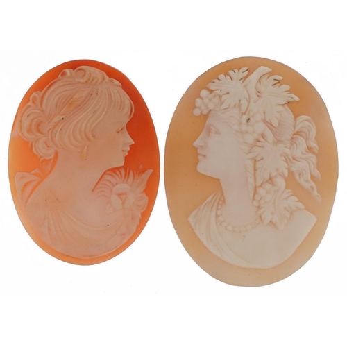 2543 - Two cameo shell panels carved with maiden heads, the largest 4.5cm high