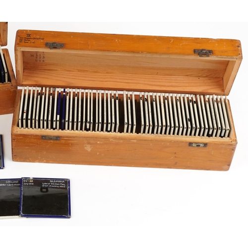 564 - Large collection of social history interest European magic lantern glass slides arranged in three li... 