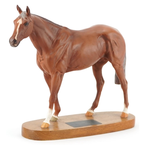 1145 - Beswick Connoisseur model of race horse Grundy raised on an oval plinth base, 35cm in length