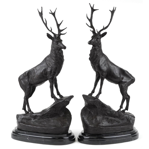 490 - After Jules Moigniez, pair of large patinated bronze stags, each raised on a shaped carved marble ba... 