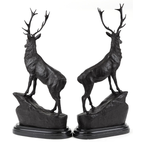 490 - After Jules Moigniez, pair of large patinated bronze stags, each raised on a shaped carved marble ba... 