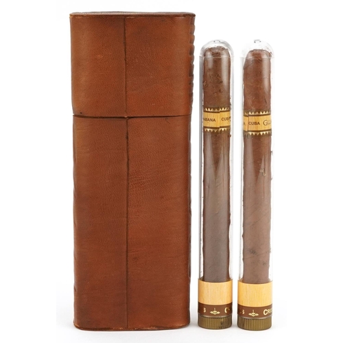 207 - Two Habana Guantanamera cigars with case, 18.5cm in length