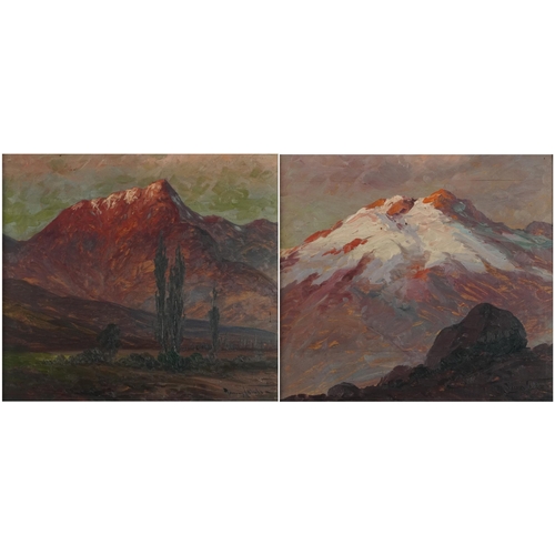 311 - Alpine landscapes, pair of early 20th century oil on boards, both indistinctly signed, mounted and f... 