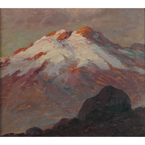 311 - Alpine landscapes, pair of early 20th century oil on boards, both indistinctly signed, mounted and f... 