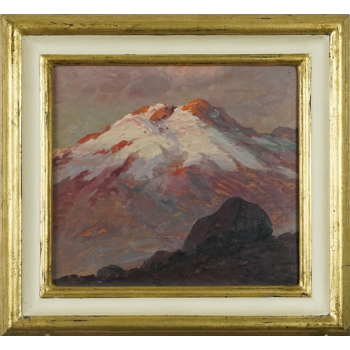 311 - Alpine landscapes, pair of early 20th century oil on boards, both indistinctly signed, mounted and f... 