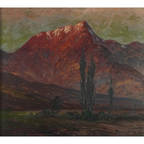 311 - Alpine landscapes, pair of early 20th century oil on boards, both indistinctly signed, mounted and f... 