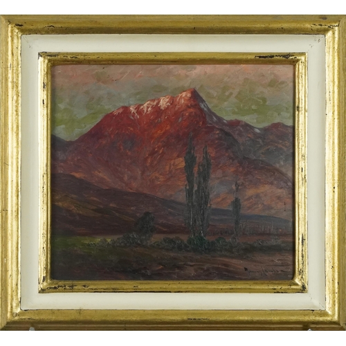 311 - Alpine landscapes, pair of early 20th century oil on boards, both indistinctly signed, mounted and f... 