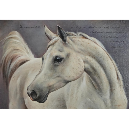 226 - Sarah Aspinall - White horse, equestrian interest oil on canvas, mounted and framed, 48.5cm x 38.5cm... 