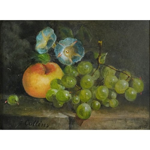 1378 - Still life fruit and vessels, three oil on boards, signed F Collins, T H Walker and V A Gray, each f... 