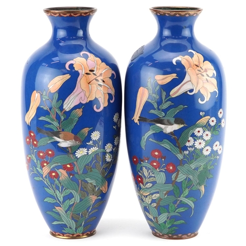 81 - Large pair of Japanese cloisonne vases enamelled with birds amongst flowers, 31cm high