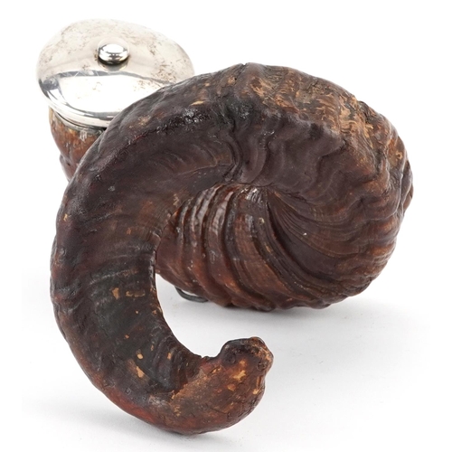 177 - Antique horn table snuff mull carved with a face having silver mounts, indistinct hallmarks to the m... 