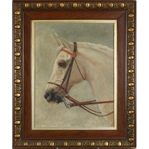 278 - Horse Head, Impressionist oil on canvas board, mounted and framed, 41cm x 31.5cm excluding the mount... 