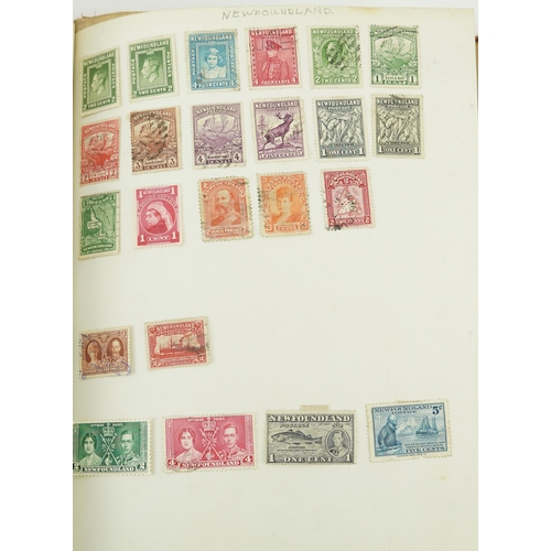 1796 - Collection of 19th century and later stamps arranged seven stock books and albums including Africa, ... 