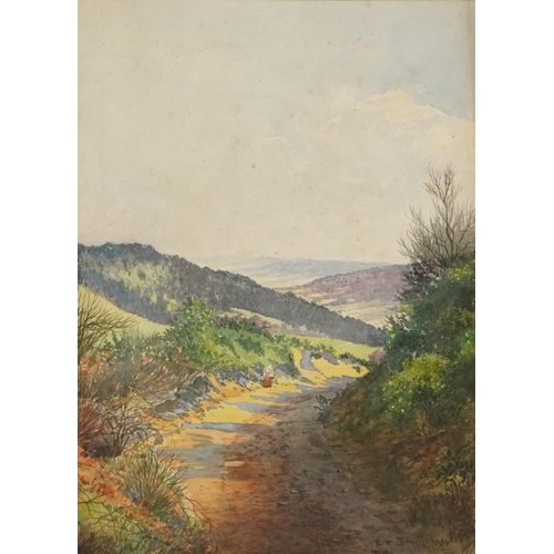 1117 - E G May - Haslemere landscape with figure, signed watercolour, mounted, framed and glazed, 34.4cm x ... 