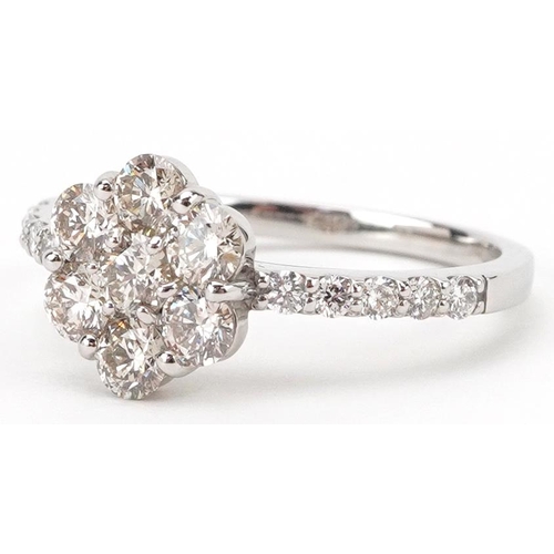 2290 - Platinum round brilliant cut diamond flower head ring with diamond set shoulders, total diamond weig... 