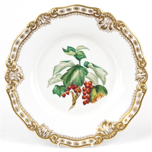 1337 - Royal Worcester, Victorian porcelain cabinet plate hand painted with berries within a gilt foliate b... 