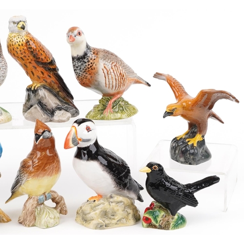 690 - Ten Beswick birds including a Puffin, Eagle and Grouse, the largest 12.5cm wide