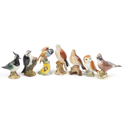 688 - Seven Beswick birds including Jay, Lapwing and Lesser Spotted Woodpecker, the largest 17cm high