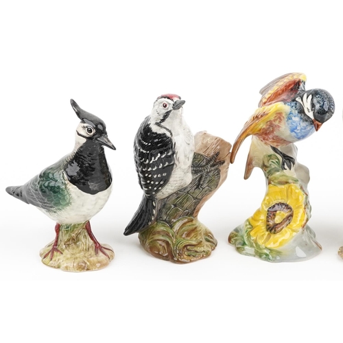 688 - Seven Beswick birds including Jay, Lapwing and Lesser Spotted Woodpecker, the largest 17cm high