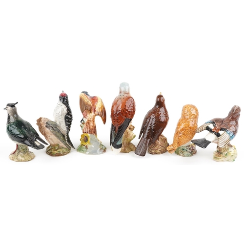688 - Seven Beswick birds including Jay, Lapwing and Lesser Spotted Woodpecker, the largest 17cm high